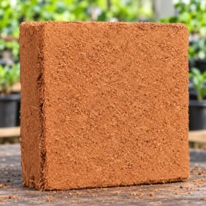Cocopeat Block in Lahore