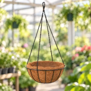 Hanging Basket in Lahore