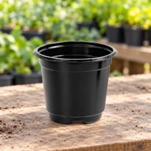 Plastic Nursery Pot 4 Inch in Lahore