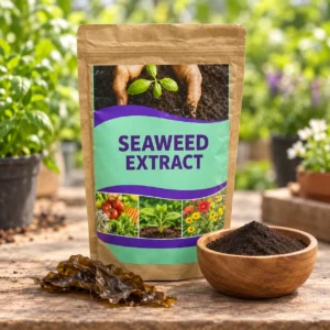 Seaweed Extract in Lahore