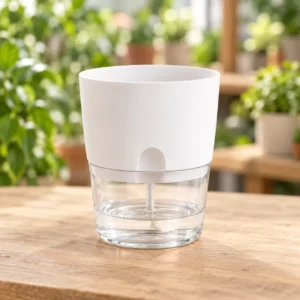 Self Watering Planter in Lahore