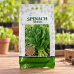 Spinach Seeds (Palak Seeds) in Lahore