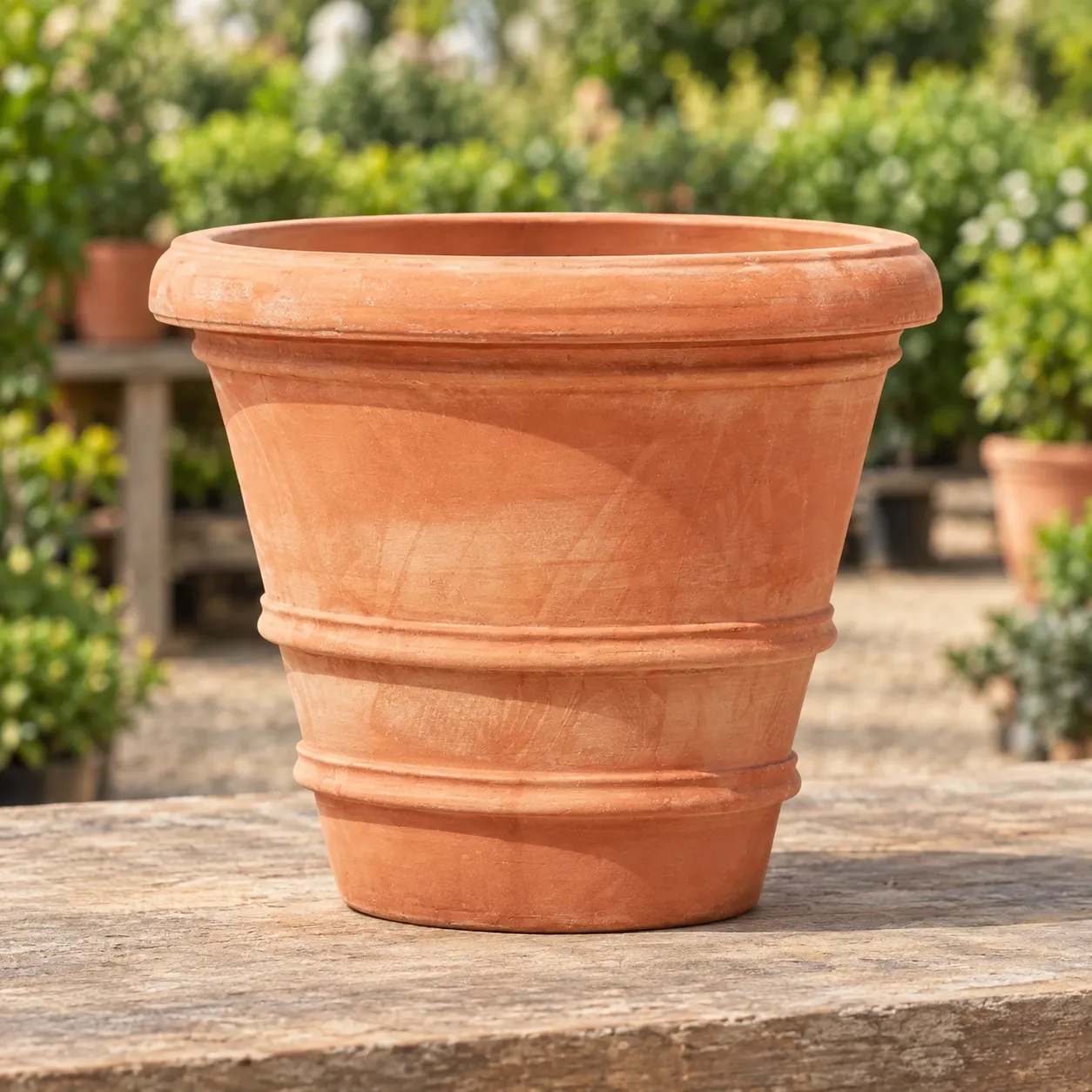 Pots and planters in Lahore