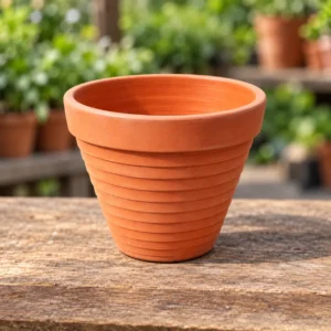 Terracotta Pot Small in Lahore