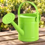 Watering Can in Lahore