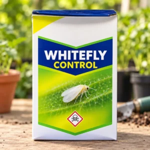 Whitefly Control in Lahore